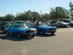 A pair of Mustangs. There were THREE Mustangs at this show with the same striping as the one on the left.