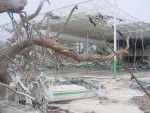 There was never a tree in the front lobby before the storm.